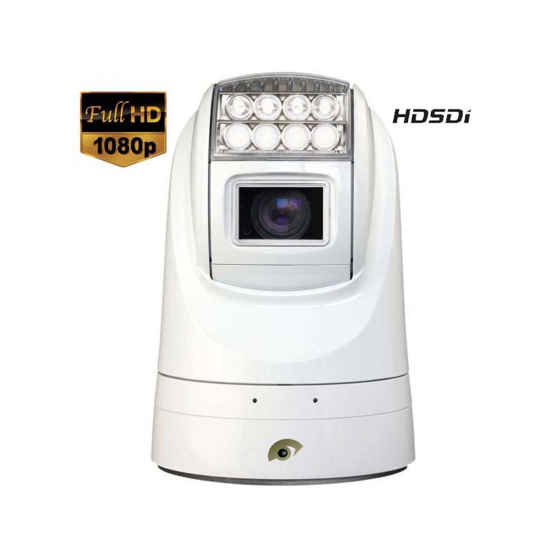 21 LEDs Caméra de Surveillance Extérieur PTZ Étanche HD 1080P IP